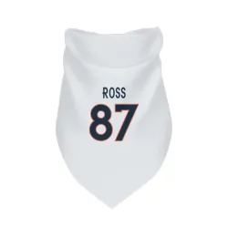 Denver Broncos Cam Ross White Pet Bandana for Dog & Cat
