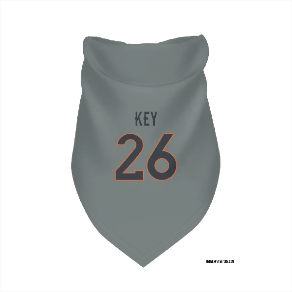 Denver Broncos Devon Key Gray Pet Bandana for Dog & Cat