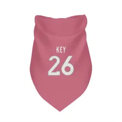 Denver Broncos Devon Key Pink Pet Bandana for Dog & Cat