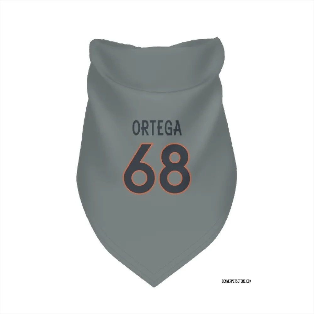 Denver Broncos Gavin Ortega Gray Pet Bandana for Dog & Cat