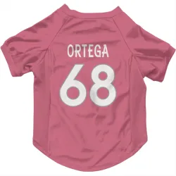 Denver Broncos Gavin Ortega Pink Pet Jersey for Dog & Cat