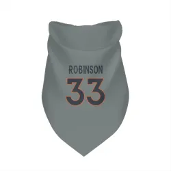 Denver Broncos Jaden Robinson Gray Pet Bandana for Dog & Cat