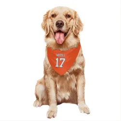 Denver Broncos Jaylen Waddle Orange Pet Bandana for Dog & Cat
