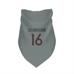 Denver Broncos Jeremy Crawshaw Gray Pet Bandana for Dog & Cat