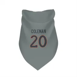Denver Broncos Jonah Coleman Gray Pet Bandana for Dog & Cat