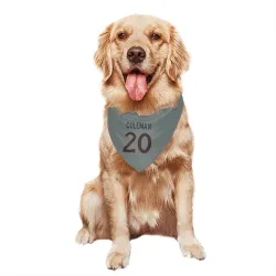 Denver Broncos Jonah Coleman Gray Pet Bandana for Dog & Cat