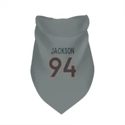Denver Broncos Jordan Jackson Gray Pet Bandana for Dog & Cat