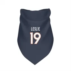 Denver Broncos Jordan Leslie Navy Pet Bandana for Dog & Cat