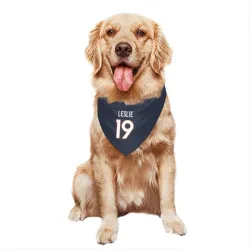 Denver Broncos Jordan Leslie Navy Pet Bandana for Dog & Cat
