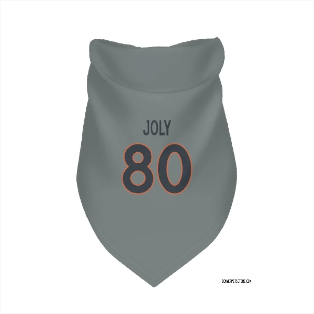 Denver Broncos Justin Joly Gray Pet Bandana for Dog & Cat