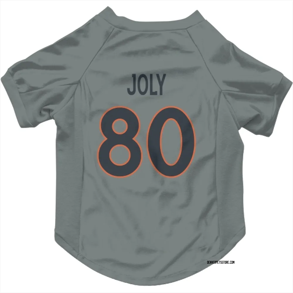 Denver Broncos Justin Joly Gray Pet Jersey for Dog & Cat