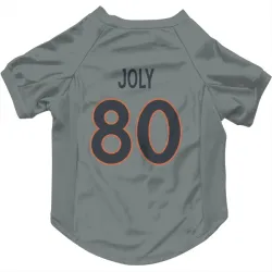 Denver Broncos Justin Joly Gray Pet Jersey for Dog & Cat