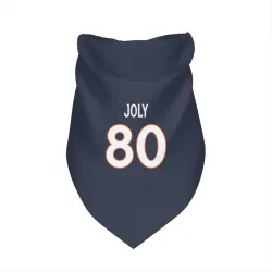 Denver Broncos Justin Joly Navy Pet Bandana for Dog & Cat