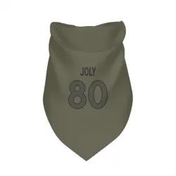 Denver Broncos Justin Joly Olive Pet Bandana for Dog & Cat