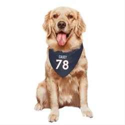 Denver Broncos Kage Casey Navy Pet Bandana for Dog & Cat