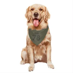 Denver Broncos Kage Casey Olive Pet Bandana for Dog & Cat