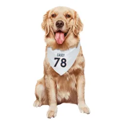 Denver Broncos Kage Casey White Pet Bandana for Dog & Cat