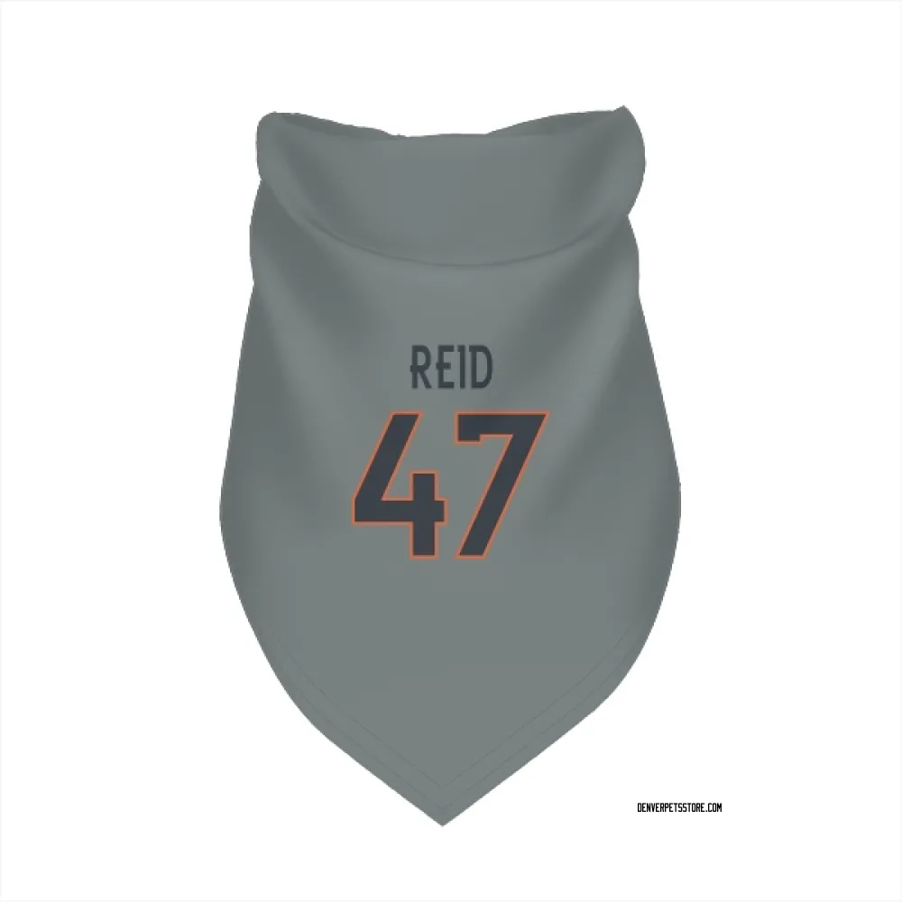 Denver Broncos Karene Reid Gray Pet Bandana for Dog & Cat