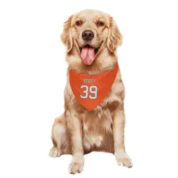 Denver Broncos Miles Scott Orange Pet Bandana for Dog & Cat