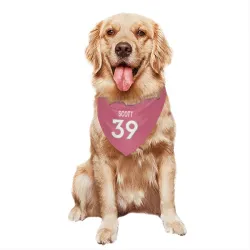 Denver Broncos Miles Scott Pink Pet Bandana for Dog & Cat