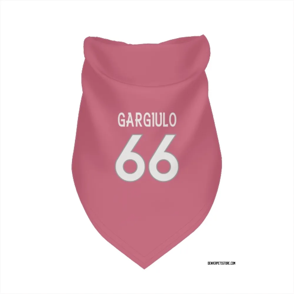 Denver Broncos Nick Gargiulo Pink Pet Bandana for Dog & Cat
