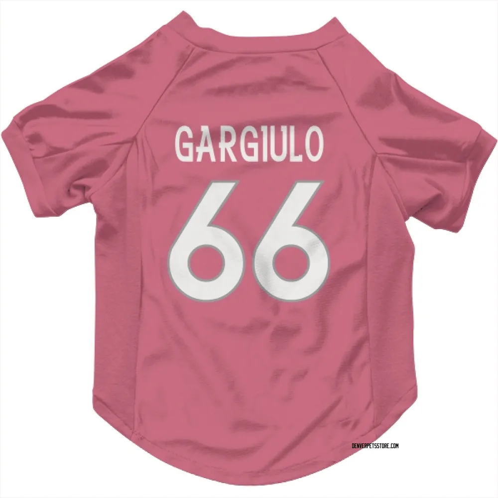 Denver Broncos Nick Gargiulo Pink Pet Jersey for Dog & Cat