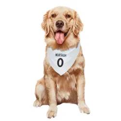 Denver Broncos Patrick Murtagh White Pet Bandana for Dog & Cat