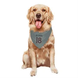 Denver Broncos Peyton Manning Gray Pet Bandana for Dog & Cat