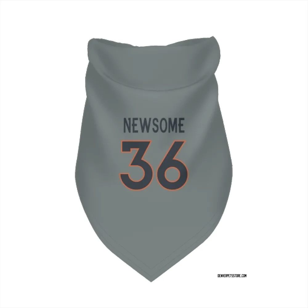 Denver Broncos Quinton Newsome Gray Pet Bandana for Dog & Cat