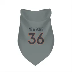 Denver Broncos Quinton Newsome Gray Pet Bandana for Dog & Cat