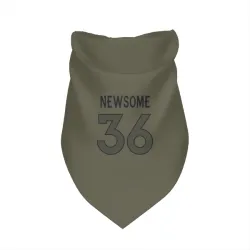 Denver Broncos Quinton Newsome Olive Pet Bandana for Dog & Cat