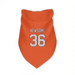 Denver Broncos Quinton Newsome Orange Pet Bandana for Dog & Cat