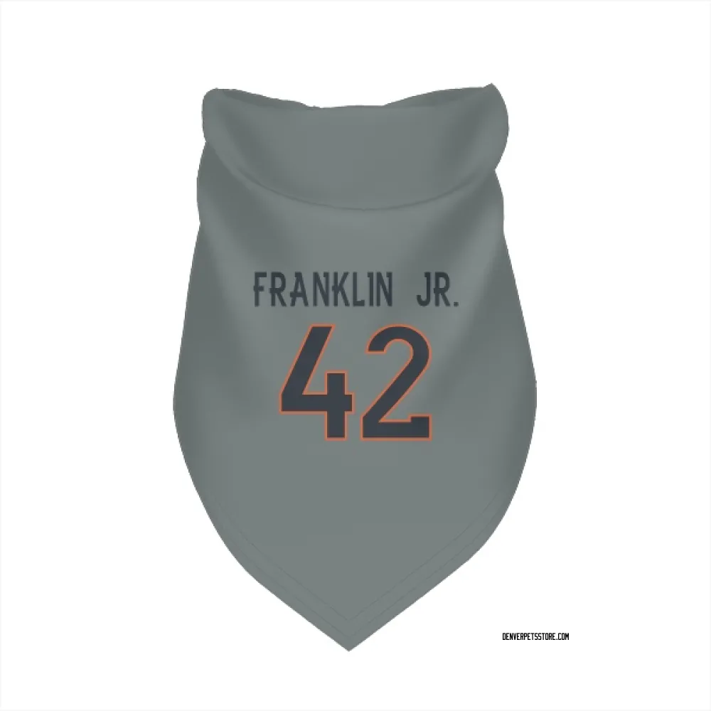 Denver Broncos Sam Franklin Jr. Gray Pet Bandana for Dog & Cat