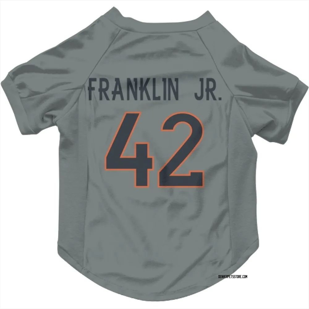 Denver Broncos Sam Franklin Jr. Gray Pet Jersey for Dog & Cat