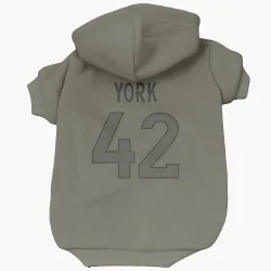 Denver Broncos Taurean York Olive Pet Hoodie for Dog & Cat