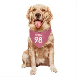 Denver Broncos Tyler Onyedim Pink Pet Bandana for Dog & Cat